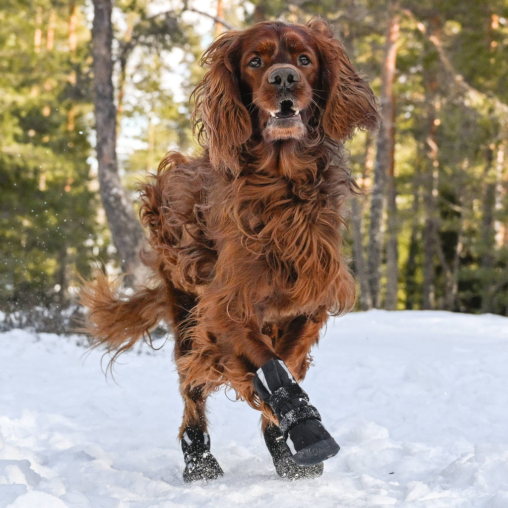 BOTTINES POUR CHIEN SOFTSHELL - FINNERO - HALLA