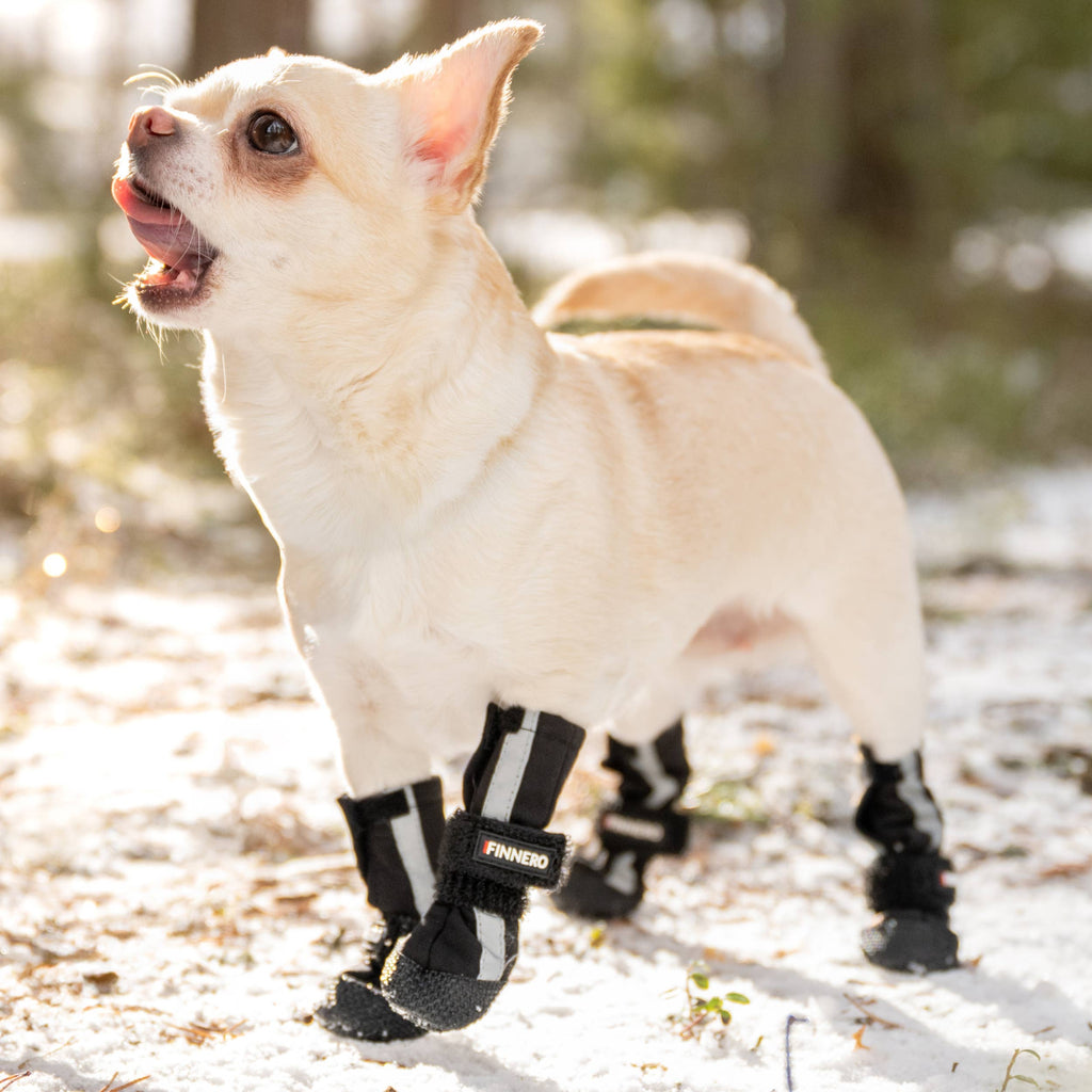 BOTTINES POUR CHIEN SOFTSHELL - FINNERO - HALLA