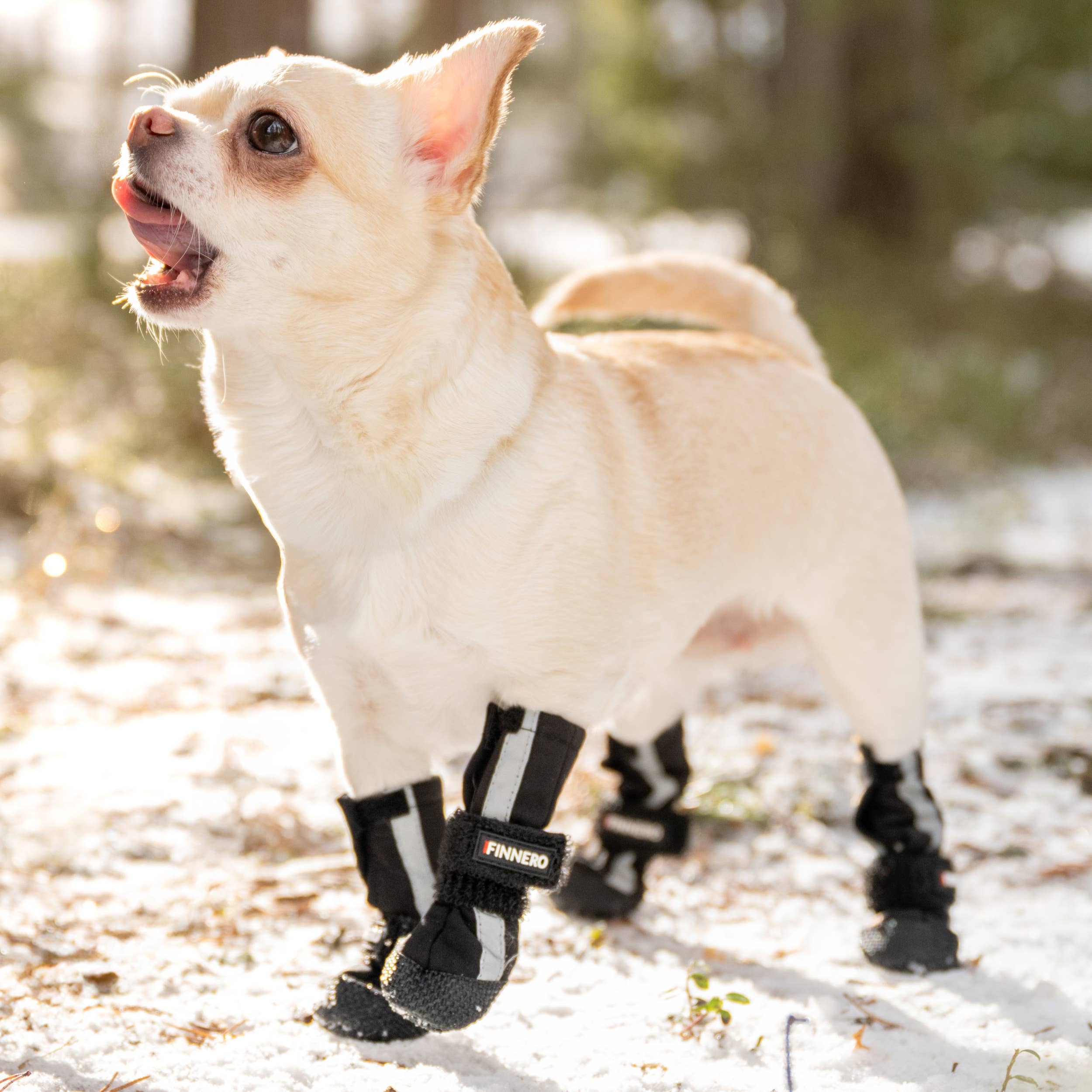 Bottines pour chien Softshell