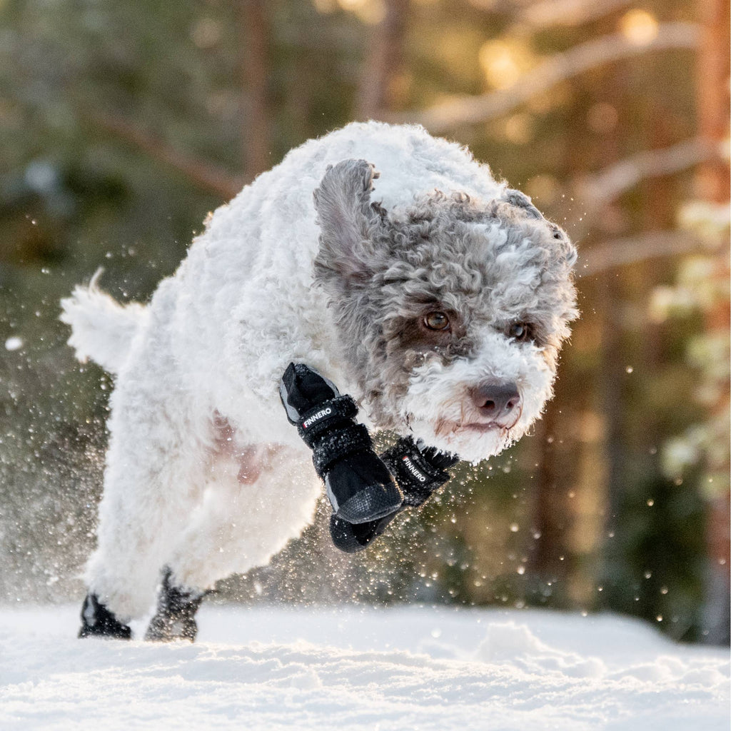 BOTTINES POUR CHIEN SOFTSHELL - FINNERO - HALLA