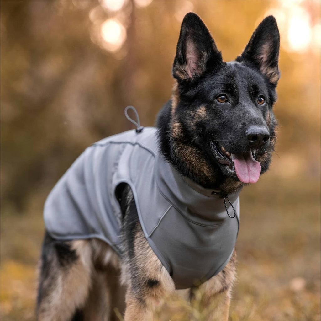 VESTE SOFTSHELL POUR CHIEN - FINNERO