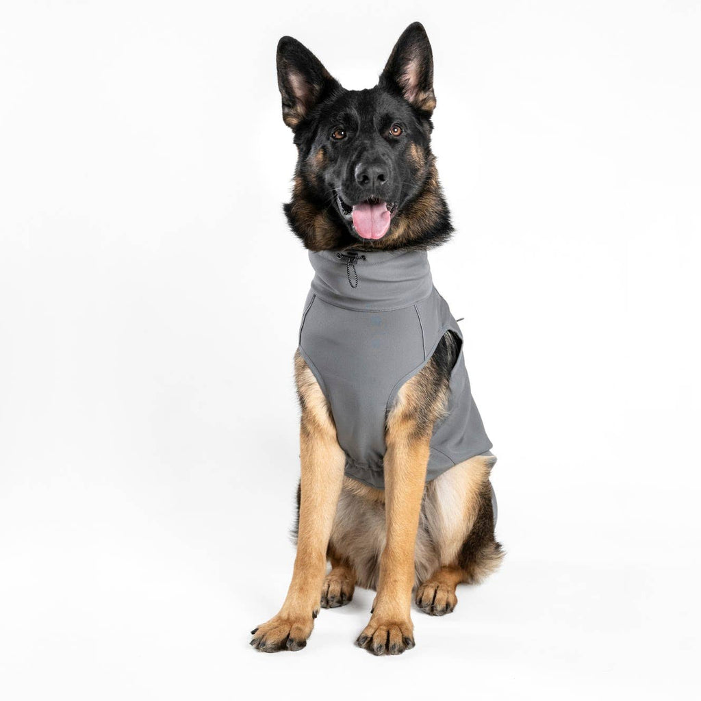 VESTE SOFTSHELL POUR CHIEN - FINNERO