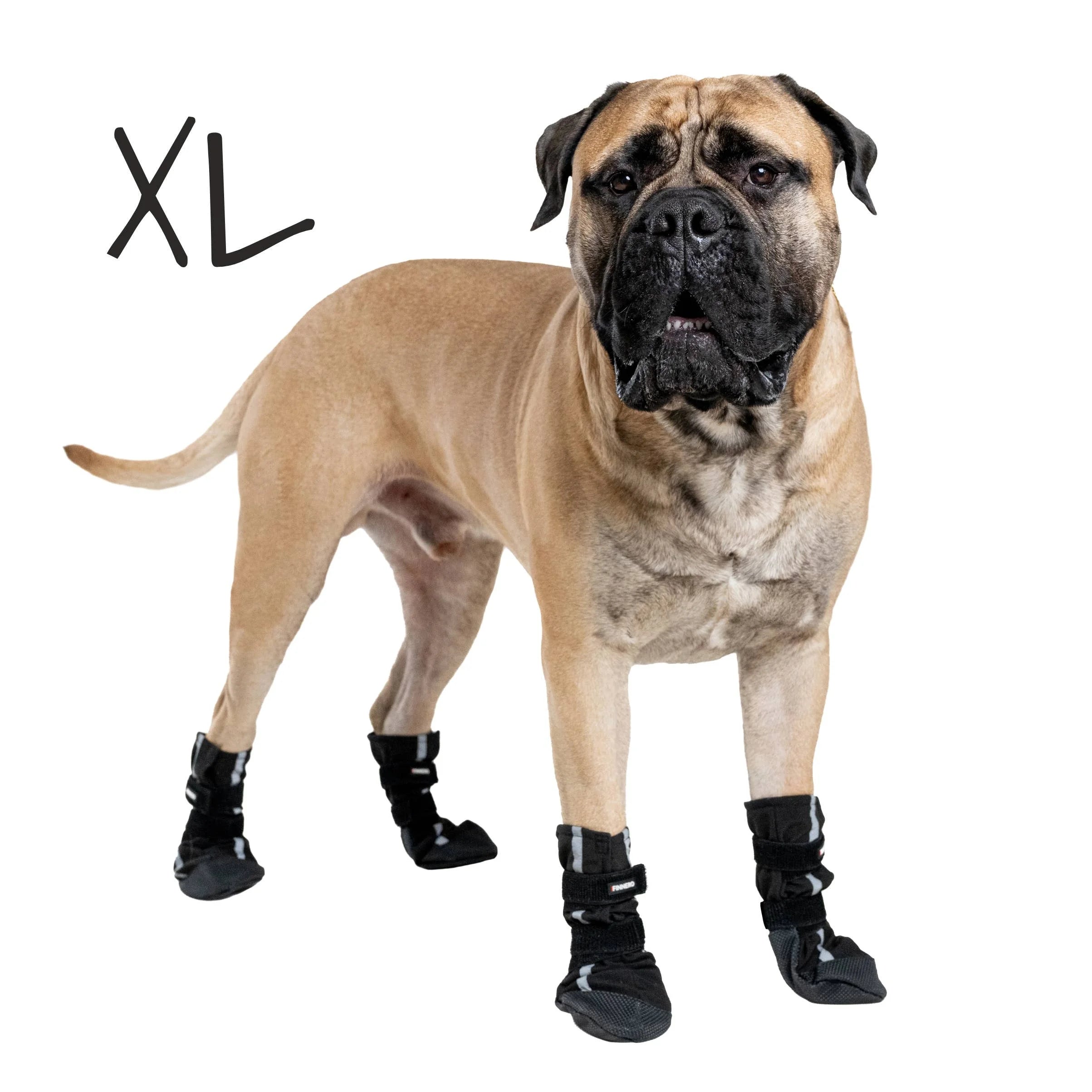 BOTTINES POUR CHIEN SOFTSHELL - FINNERO - HALLA