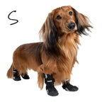 BOTTINES POUR CHIEN SOFTSHELL - FINNERO - HALLA