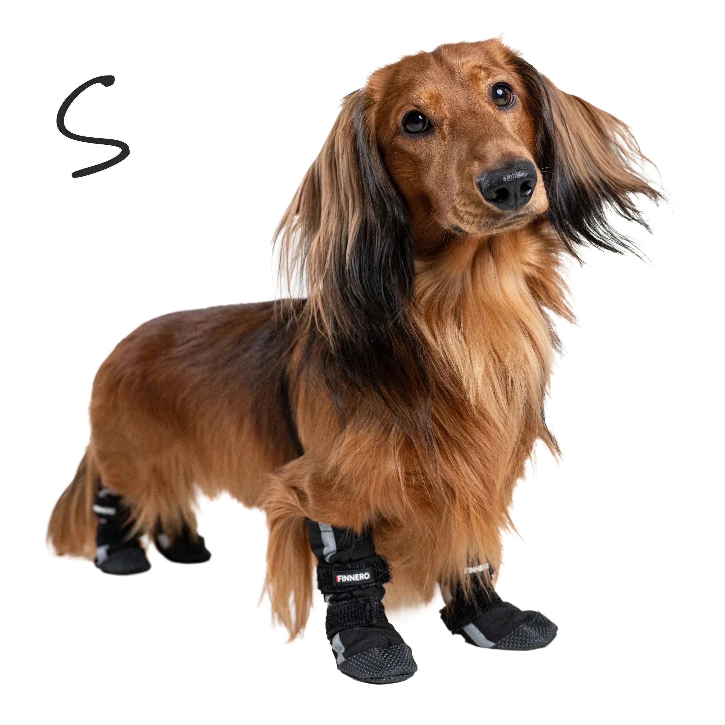 BOTTINES POUR CHIEN SOFTSHELL - FINNERO - HALLA