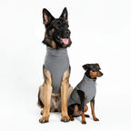 VESTE SOFTSHELL POUR CHIEN - FINNERO