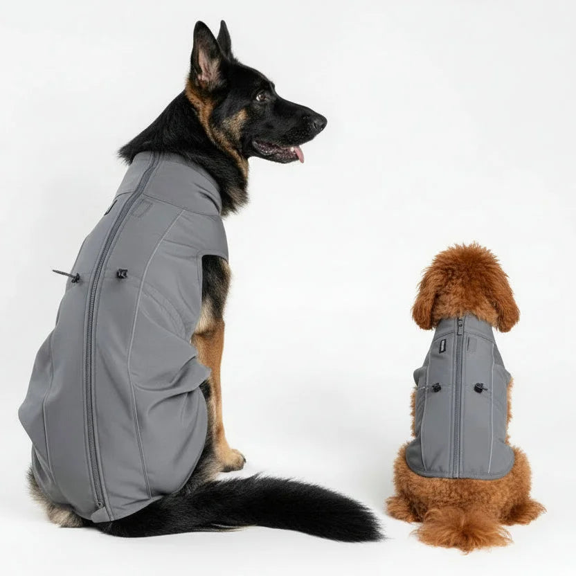 VESTE SOFTSHELL POUR CHIEN - FINNERO