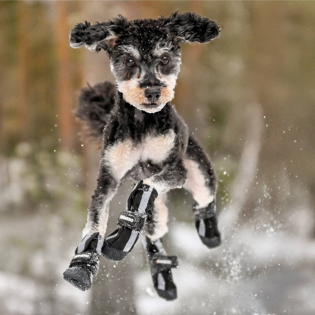 BOTTINES POUR CHIEN SOFTSHELL - FINNERO - HALLA